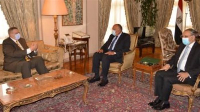 وزير الخارجية يبحث