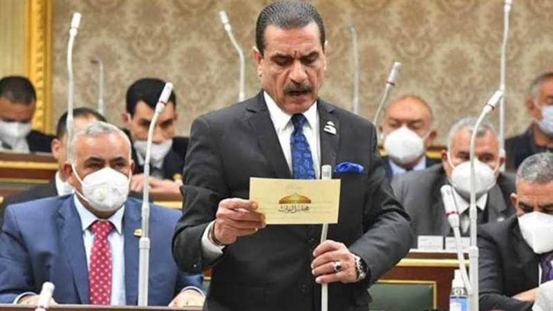 النائب مجدى عاشور