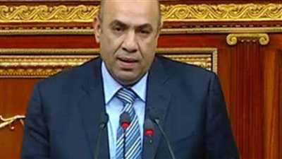 برلماني: حياة كريمة من أعظم المبادرات وستغير حياة 58 مليون مواطن