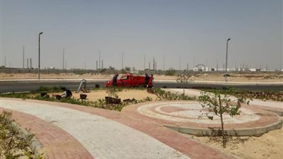 تكثيف أعمال صيانة المسطحات الخضراء والمزروعات بـ