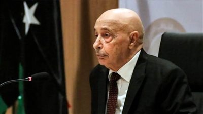 رئيس مجلس النواب الليبي: لا حل لأزمتنا وتحقيق المصالحة دون الانتخابات