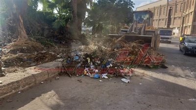 حملات للنظافة ورفع الإشغالات وتأهيل الترع بكفر الشيخ