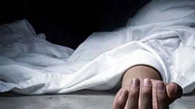 بـ4 طعنات.. مصرع سيدة على يد طليقها لتمكنها من حضانة طفليها بالدقهلية