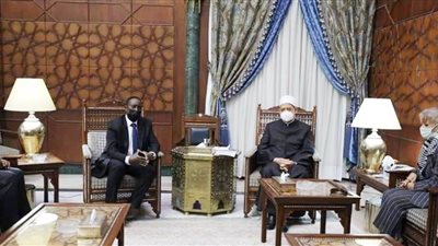 الإمام الأكبر: الأزهر له تاريخ طويل وحافل مع نيجيريا