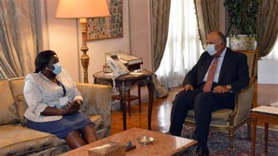 شكري يؤكد استمرار مساندة مصر لتنفيذ استحقاقات اتفاق السلام المُنشط في جنوب السودان