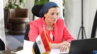 وزيرة البيئة: أفريقيا على الطريق للانتقال للتحول الأخضر