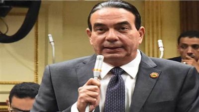 أيمن أبو العلا: إطلاق الاستراتيجية الوطنية سيحدث نقلة نوعية هائلة بملف حقوق الإنسان