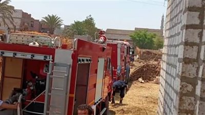 نفوق ٤٤ رأس ماشية في حريق منزل بالمنيا 