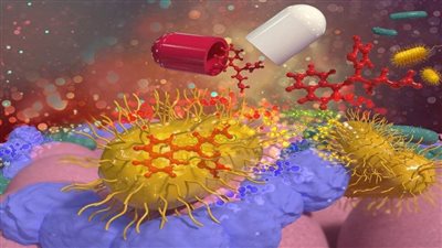 دراسة: بكتيريا الأمعاء تخزّن بعض الأدوية ما يؤدي إلى تغيير تأثيرها