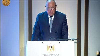 وزير الخارجية: الاستراتيجية الوطنية لحقوق الإنسان تجسد خارطة طريق جادة لإعلاء كرامة المواطن