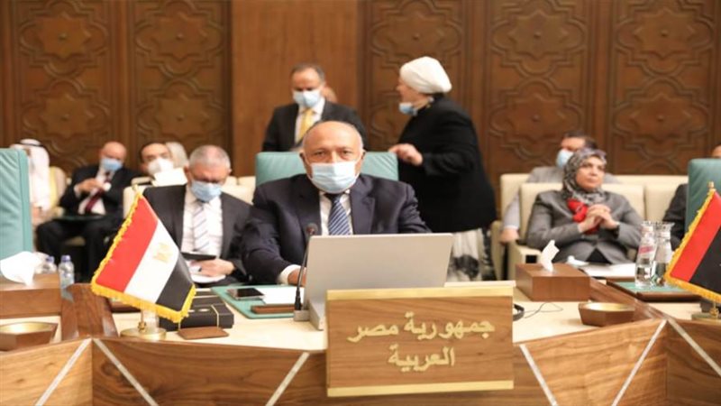 سامح شكري وزير الخارجية