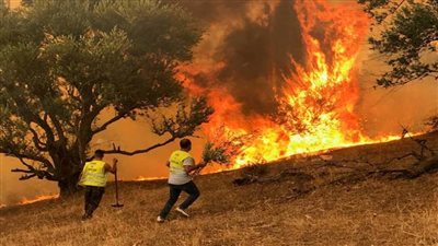 حرائق إسبانيا تتسبب فى إجلاء آلاف الأشخاص