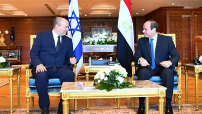 السيسي يؤكد دعم مصر لكافة جهود تحقيق السلام الشامل بالشرق الأوسط