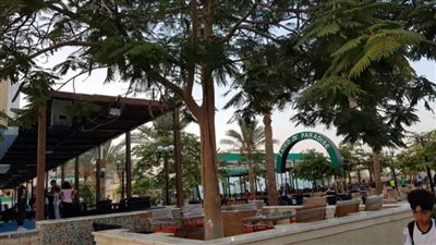 نادي الشيخ زايد يخصص أماكن استراحة لكبار السن وذوي الهمم