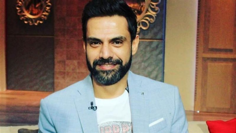 الشاعر أمير طعيمة