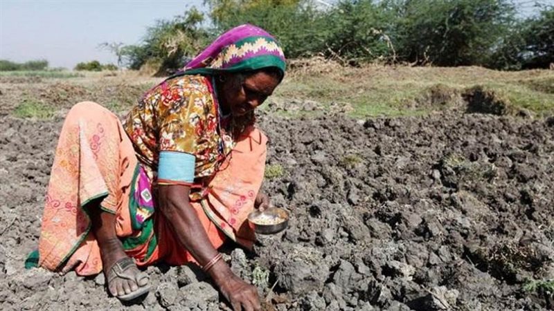 صورة ارشيفية