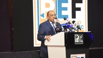 شعراوي: 337 مليار جنيه حجم استثمارات الدولة في بورسعيد