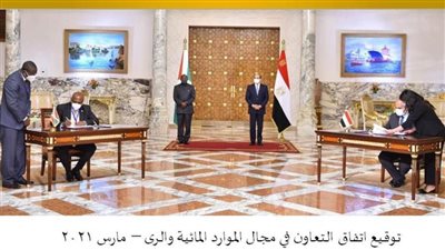 عاجل| مشروعات مصرية في دول حوض النيل.. 