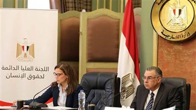 الخارجية: مصر عازمة على مواصلة النهوض بأوضاع حقوق الإنسان