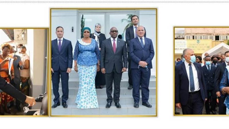 المشروعات المصرية