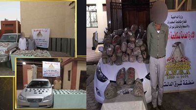 عاجل| الاستعانة بالكلاب المدربة للإيقاع بأباطرة المخدرات