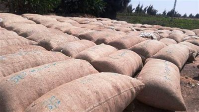 محافظ الشرقية يعتمد 23 حلقة تجميع لمحصول الذهب الأبيض