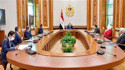 الرئيس السيسي يوجه بتعزيز منظومة دعم العاملين بمجال الفن