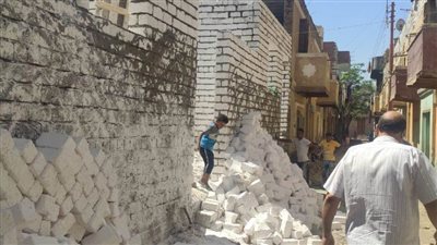   إزالة 18 حالة تعد بالبناء والزراعة على أراضي أملاك الدولة بالمنيا 