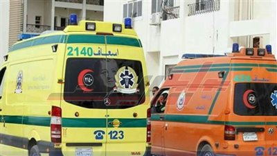 تسمم 10 أطفال بإحدى مزارع السادات 