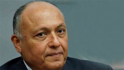 وزير الخارجية يشدد على دعم مصر لكافة الجهود الرامية إلى تحقيق تسوية شاملة في ليبيا