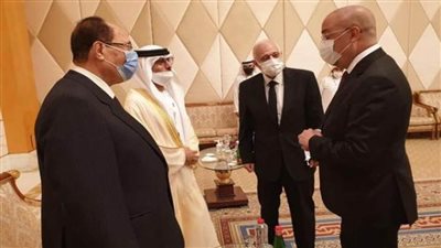 وزير الإسكان يلتقي وزير الطاقة الإماراتي لمناقشة سبل التعاون في قضايا الأمن المائي والتنمية المستدامة