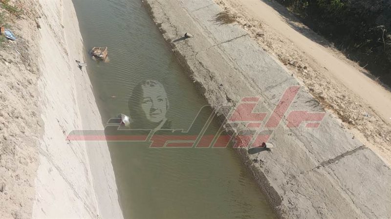 مشروع تبطين الترع