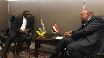 شكري يبحث مع نظيره الرواندي العلاقات الثنائية والقضايا ذات الاهتمام المشترك