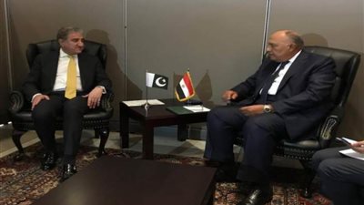 شكري يبحث مع نظيره الباكستاني سبل دعم العلاقات الثنائية