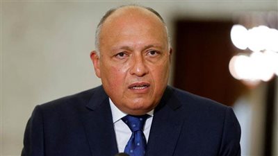 شكري يبحث مع نظيره الفيتنامي تعزيز التعاون بين البلدين