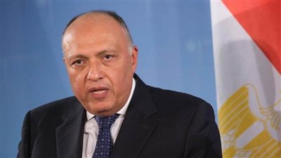 شكري يُلقي كلمة مصر أمام الاجتماع رفيع المستوى لإحياء الذكرى العشرين لاعتماد إعلان ديربان