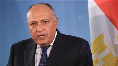 شكري يؤكد أهمية الانتهاء من وثيقة 