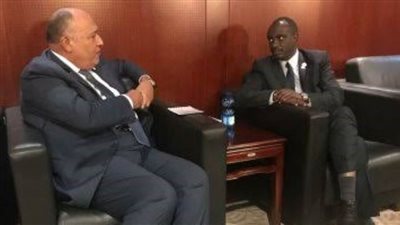 شكري ووزير خارجية النيجر يبحثان أوجه العلاقات الثنائية