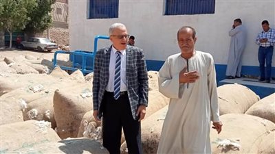  زراعة 283 ألف فدان محاصيل شتوية ببني سويف