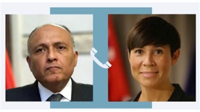 شكري يبحث مع وزير الخارجية النرويجي علاقات التعاون بين البلدين
