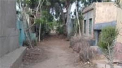 عامل يقتل زوجته ويدفنها فى مقابر الصدقة ببنها