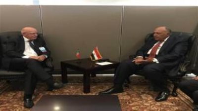 وزير الخارجية يبحث مع نظيره السوري بنيويورك سبل إنهاء الأزمة في سوريا