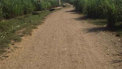 طريق السلامات أبوتشت ينتظر الرصف