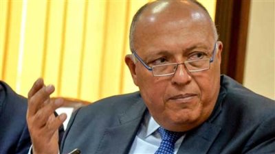 شكري يعقد مباحثات مع رئيس الجمعية العامة للأمم المتحدة