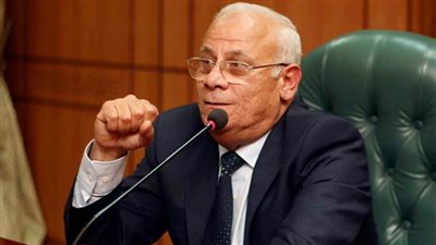 محافظ بورسعيد يستقبل السيدة 