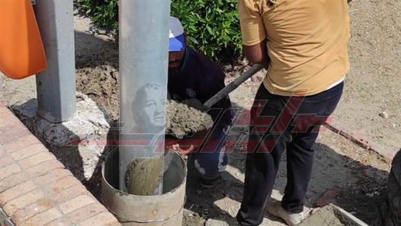 زرع الأعمدة الجديدة