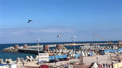 عاجل|  سر الـ