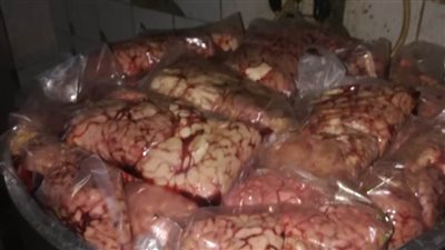 الصحة: ضبط وإعدام 1462 طن أغذية متنوعة ولحوم فاسدة بـ6 محافظات