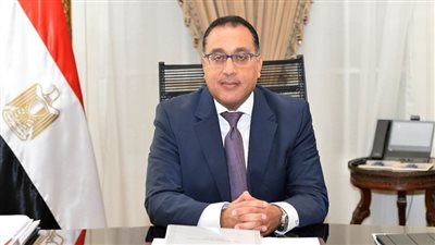 رئيس الوزراء يستقبل نائب الرئيس البرازيلي بمطار القاهرة