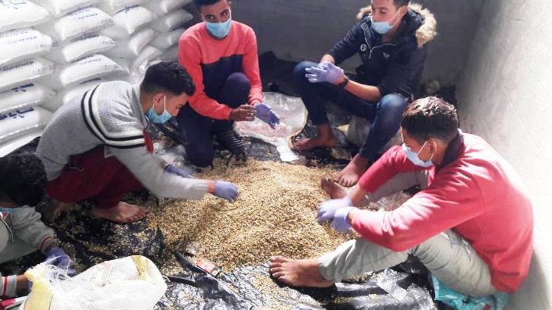 الزراعة تنفذ حملة